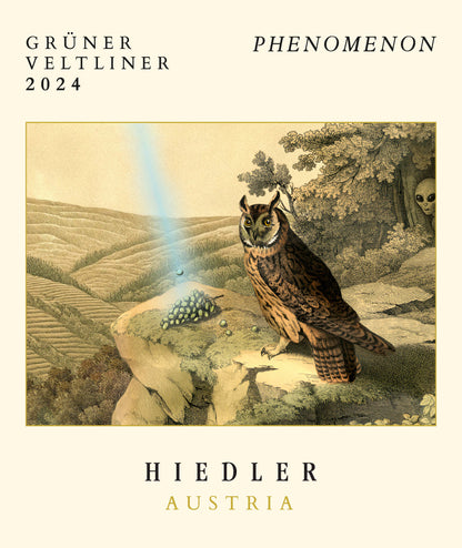 Gruner Veltliner 'Phenomenon', Hiedler