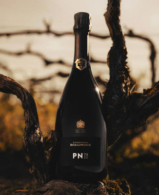 Bollinger PN TX20 Champagne  2020