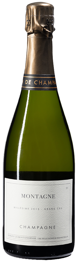 Monts Fournois 13 Montagne Bouzy Grand Cru 2013