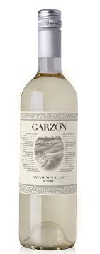 Garzon Sauvignon Blanc Reserva 2024