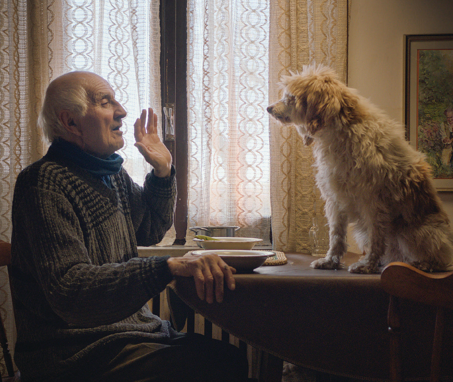 Nebbiolo d'Alba 'Truffle Hunters', S & B Borgogno