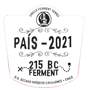 Pais '215 BC Ferment', Garage Wine Co 2021