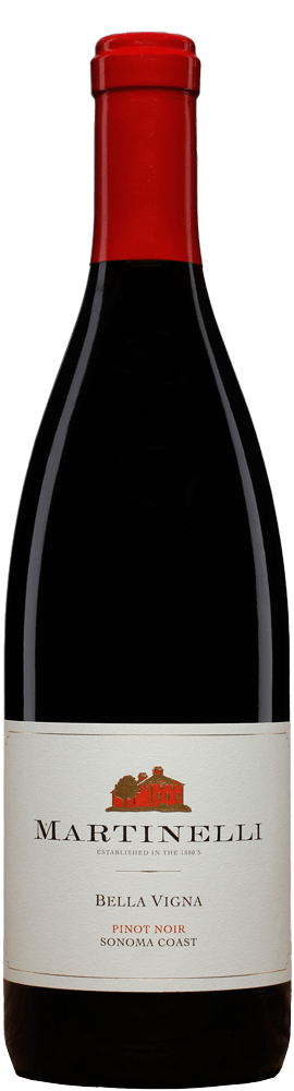 Pinot Noir 'Bella Vigna', Martinelli 2023