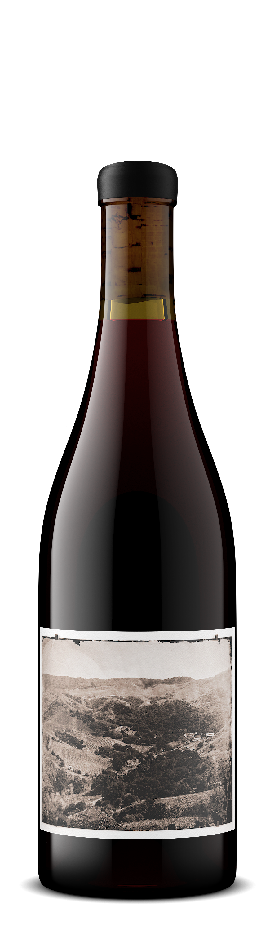 Pinot Noir 'White Buffalo Land Trust', Sandhi 2022