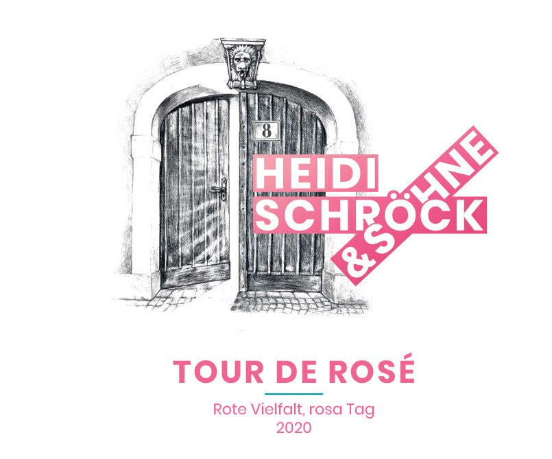 Rose 'Tour de Rose', Heidi Schrock & Sohne 2024