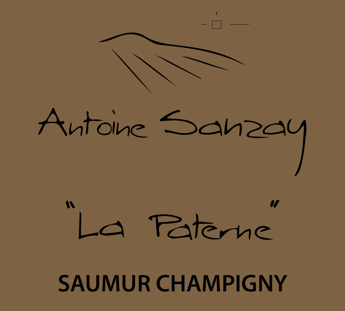Saumur Champigny "La Paterne", Domaine Antoine Sanzay 2022