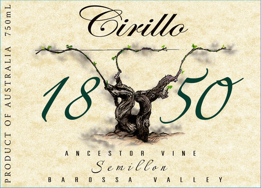 Semillon 'Ancestor Vine', Cirillo 2020