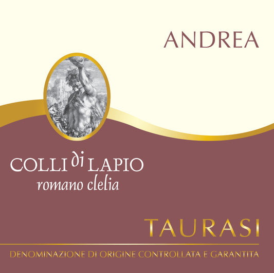 Taurasi 'Vigna Andrea', Colli Di Lapio - Clelia Romano 2020
