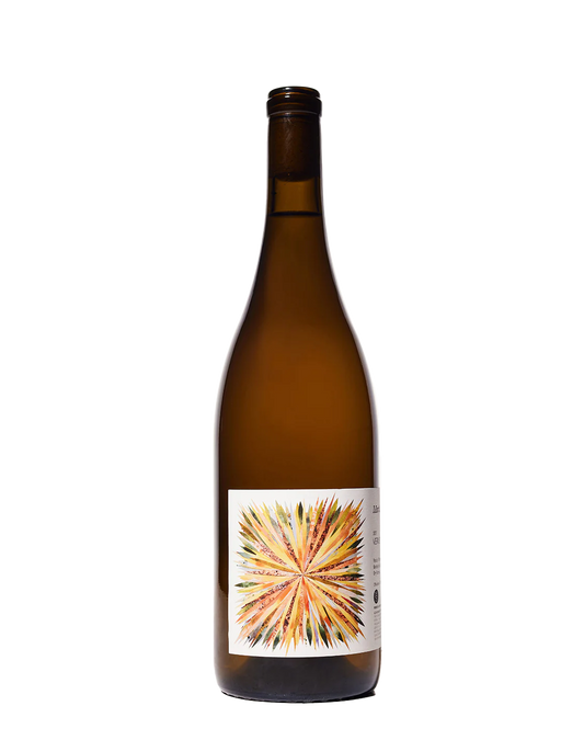 Vermentino 'Venturi Vyd', Martha Stoumen 2024