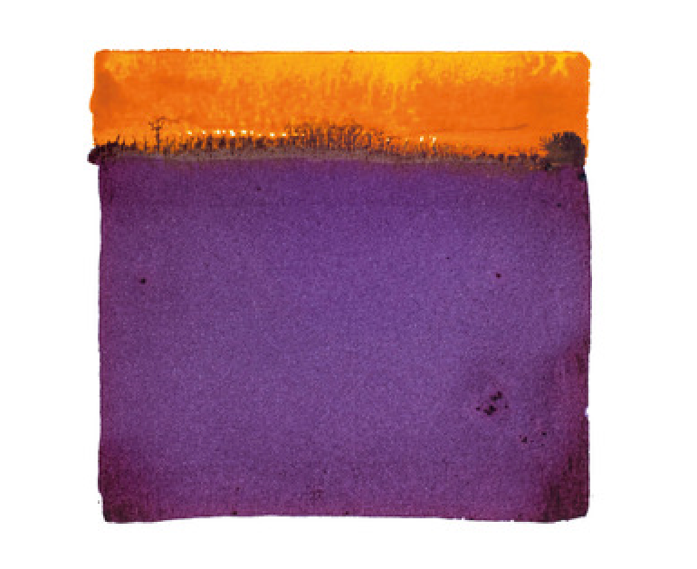 Vino De Mesa [Cabernet Sauvignon], Edicion M.R.