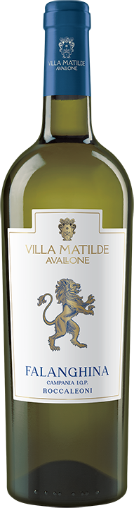 Villa Matilde Falanghina Campania IGP