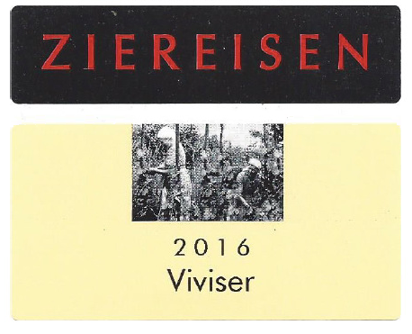 Gutedel [Chasselas] 'Viviser', Ziereisen