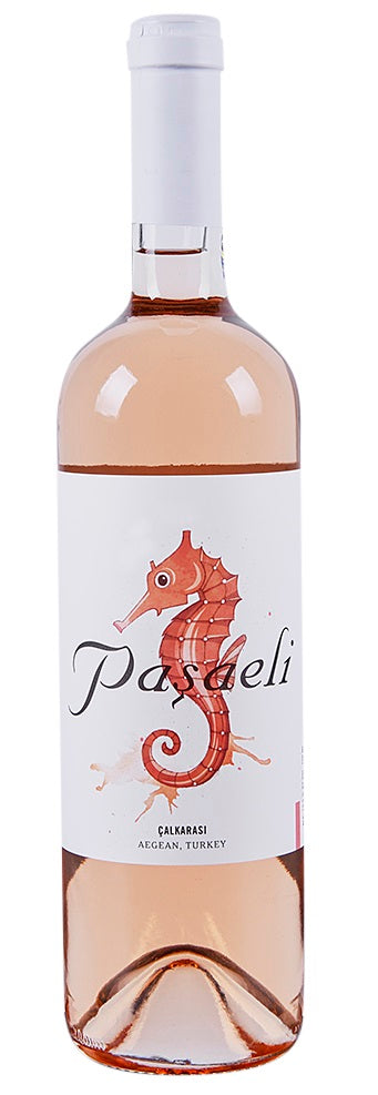 Calkarasi Rose 'Seahorse', Pasaeli 2021