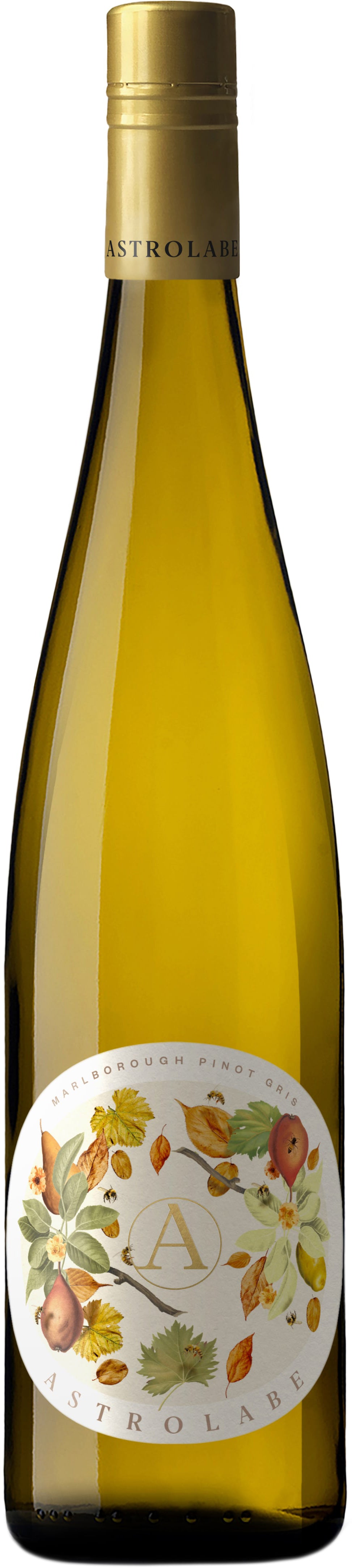 ASTROLABE PINOT GRIS