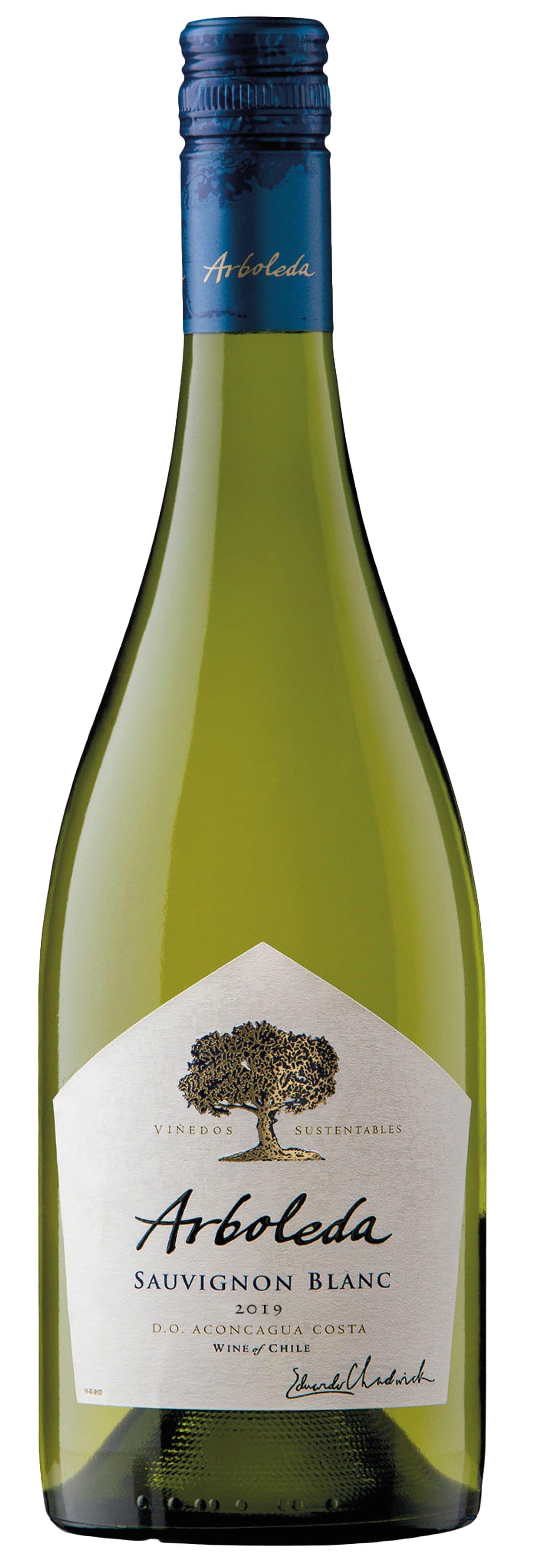 Arboleda Sauvignon Blanc 2019