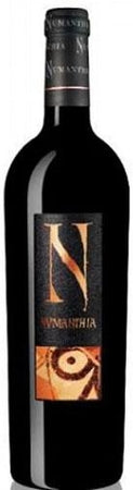 Bodega Numanthia Termes Toro Numanthia 2008