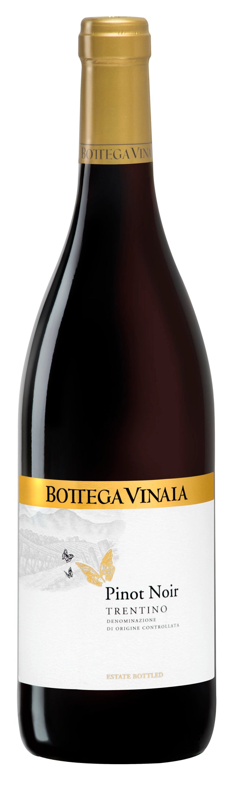 Bottega Vinaia Pinot Noir 2017