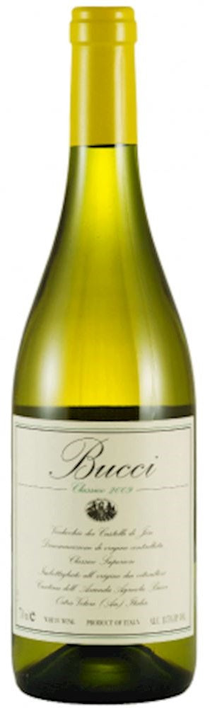 Bucci Verdicchio dei Castelli di Jesi 2020