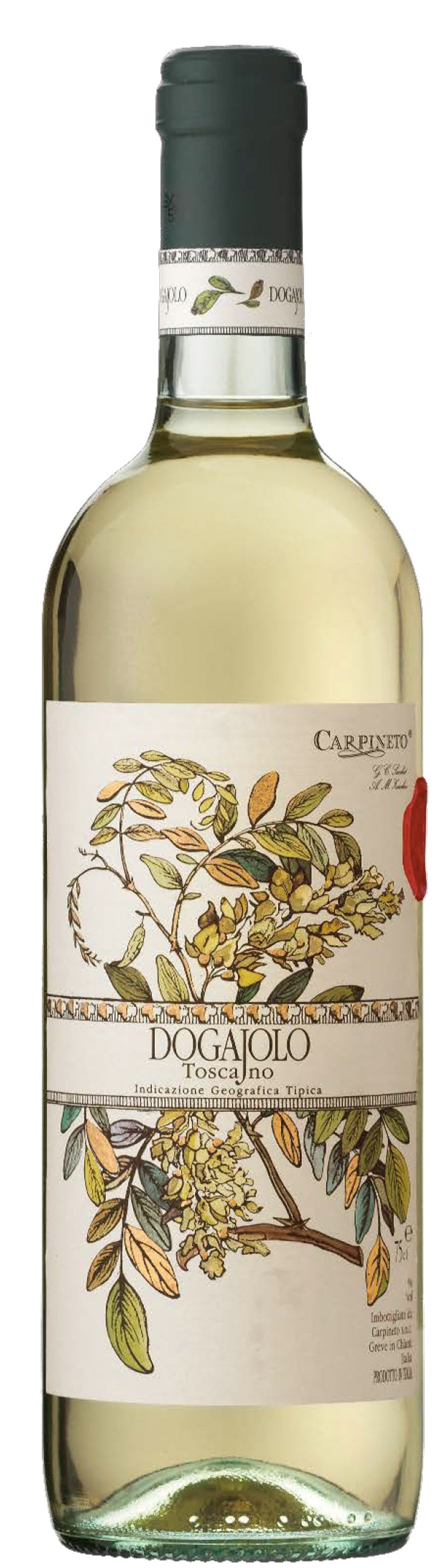 CARP DOGAJOLO WHITE