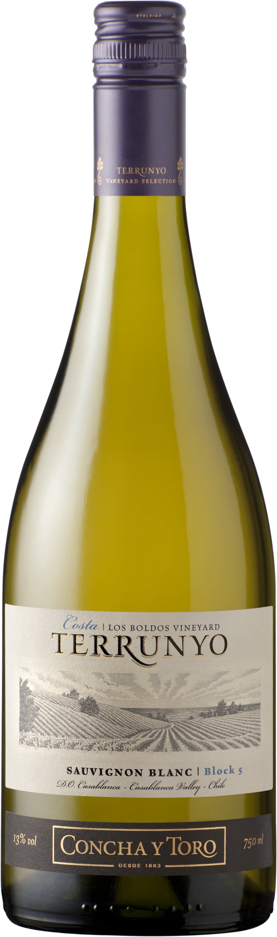 CONCHA Y TORO TERRUNYO SAUVIGNON BLANC 2020