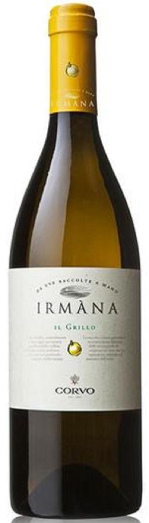 Corvo Grillo Irmana 2019