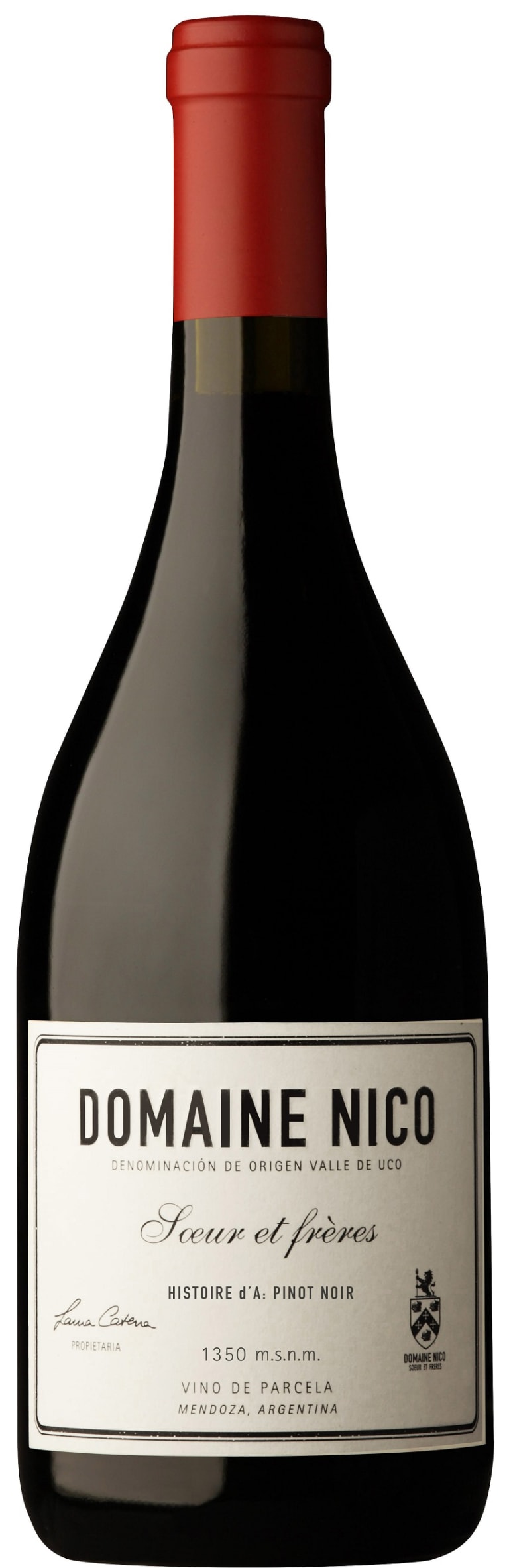 DOMAINE NICO HISTOIRE PINOT NOIR 6 CS IN WOOD