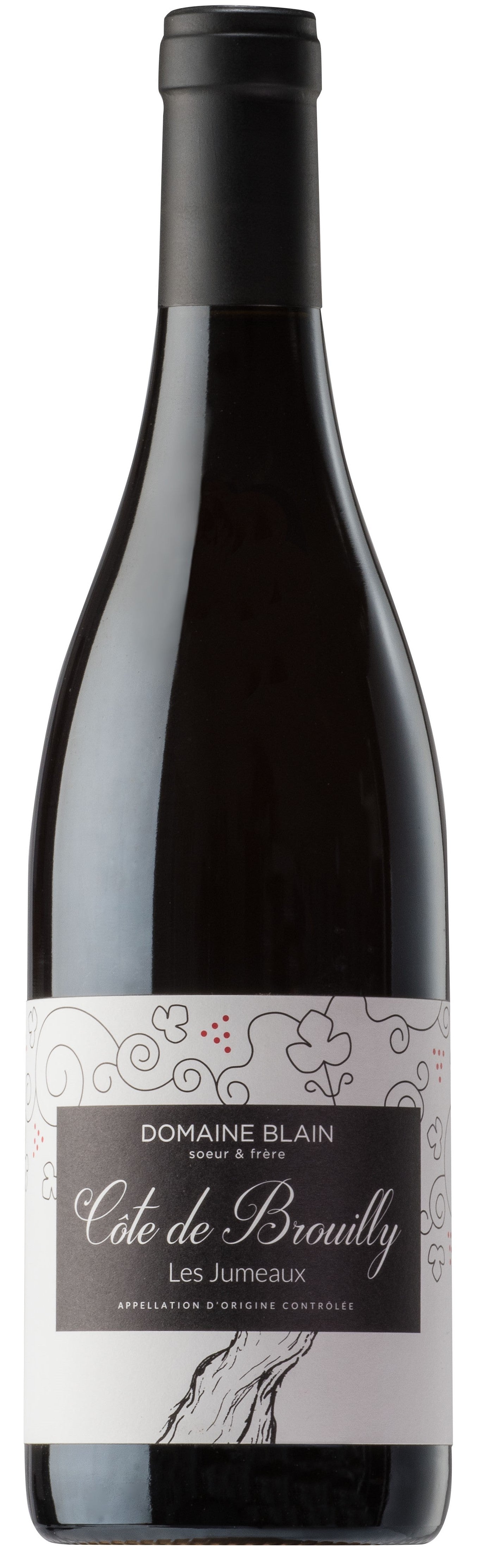 Domaine Blain Soeur et Frere Cote de Brouilly Les Jumeaux 2016