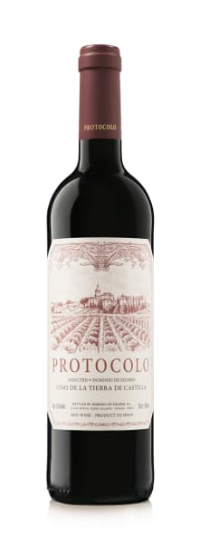 Dominio de Eguren 'Protocolo Tinto' 2019 1.5L