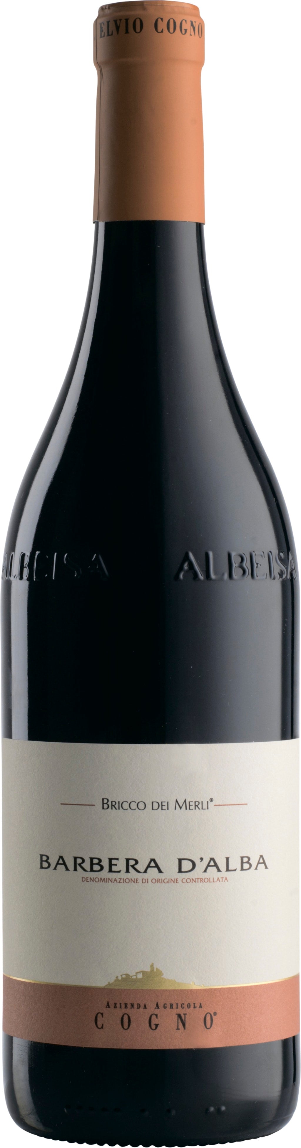 Elvio Cogno 18 Barbera Bricco Merli