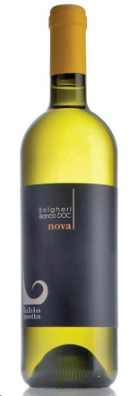 Fabio Motta Nova 2016