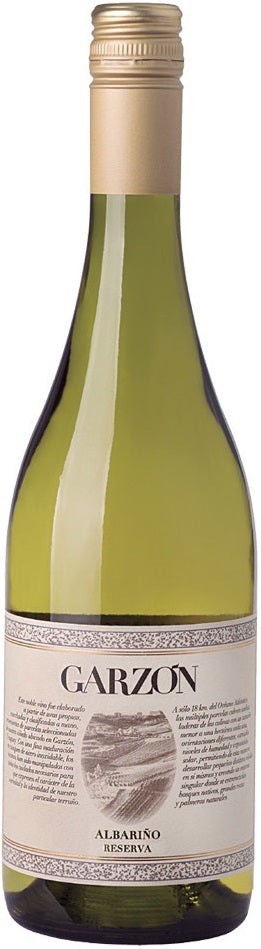 Garzon Albarino 2020