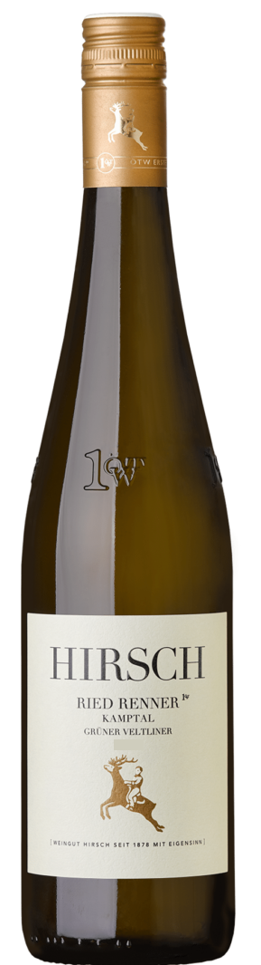 Gruner Veltliner Ried Renner Erste Lage, Hirsch 2019