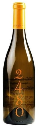 Hollywood & Vine Cellars Chardonnay 2480 2013