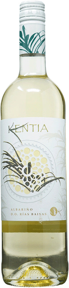 KENTIA ALBARINO