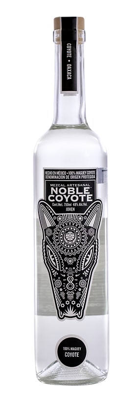 Noble Coyote Coyote