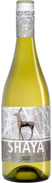 SHAYA VERDEJO RUEDA