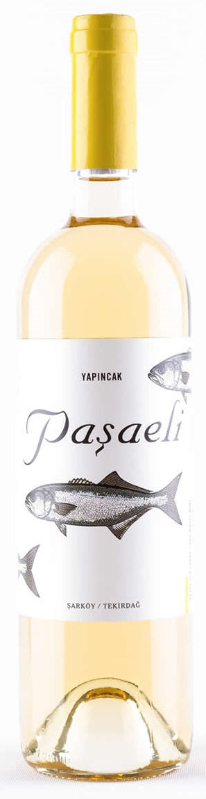 Yapincak, Pasaeli 2019