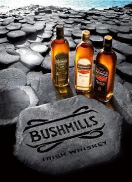 Bushmills Irish Whiskey 10 Year-Wine Chateau