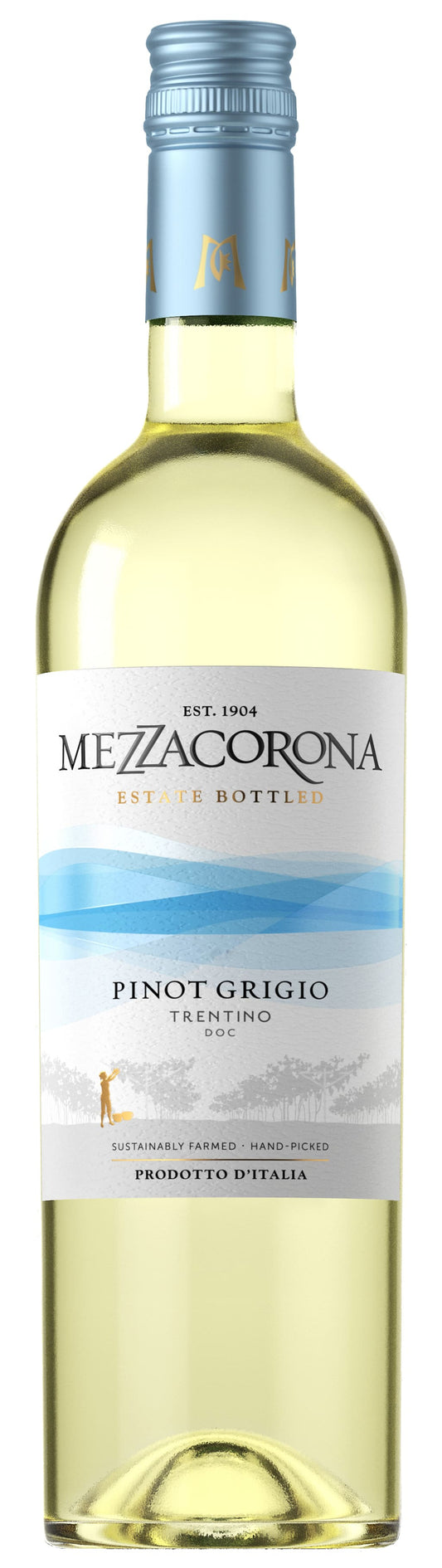 Mezzacorona Pinot Grigio Trentino NV