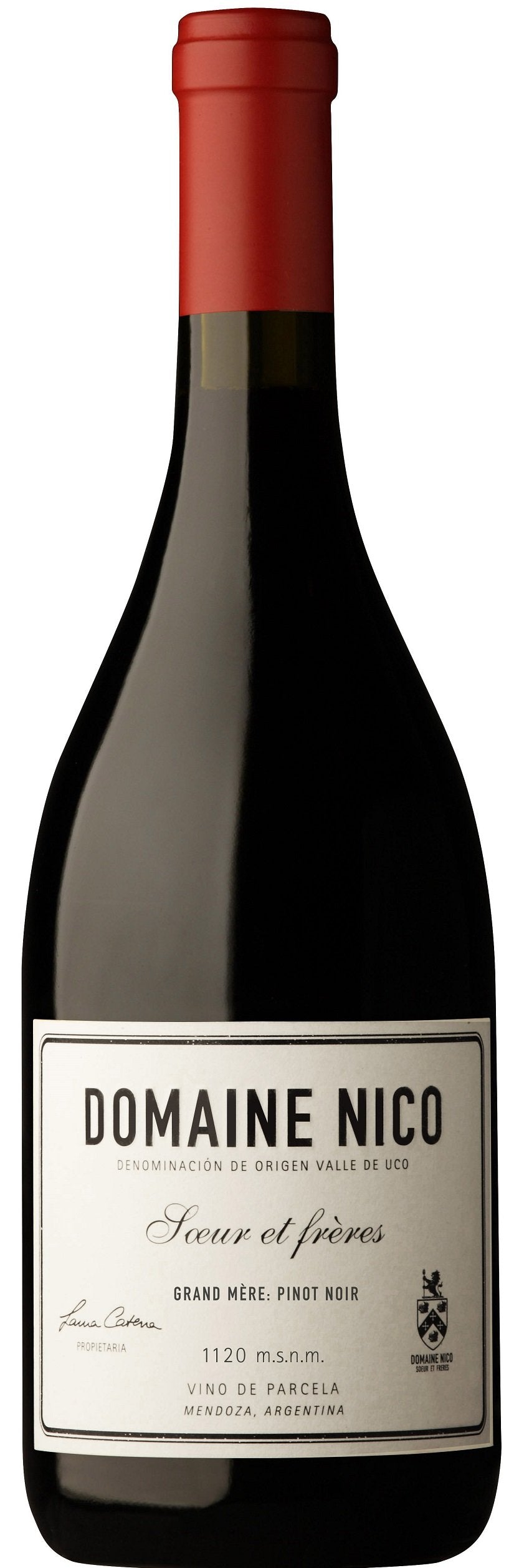 Domaine Nico Pinot Noir Grand Mere 2017