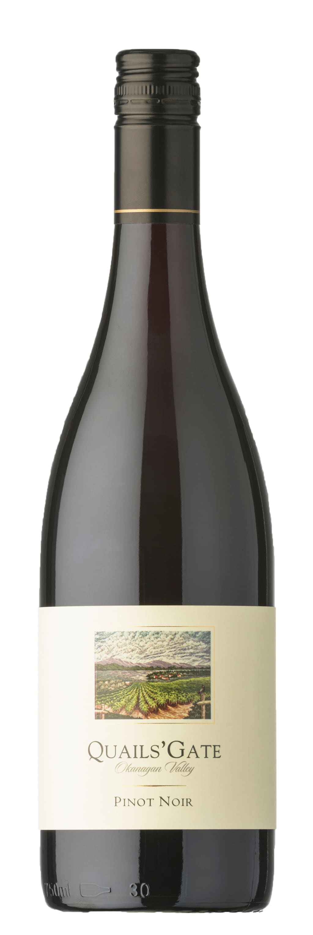 Quails' Gate Pinot Noir 2019