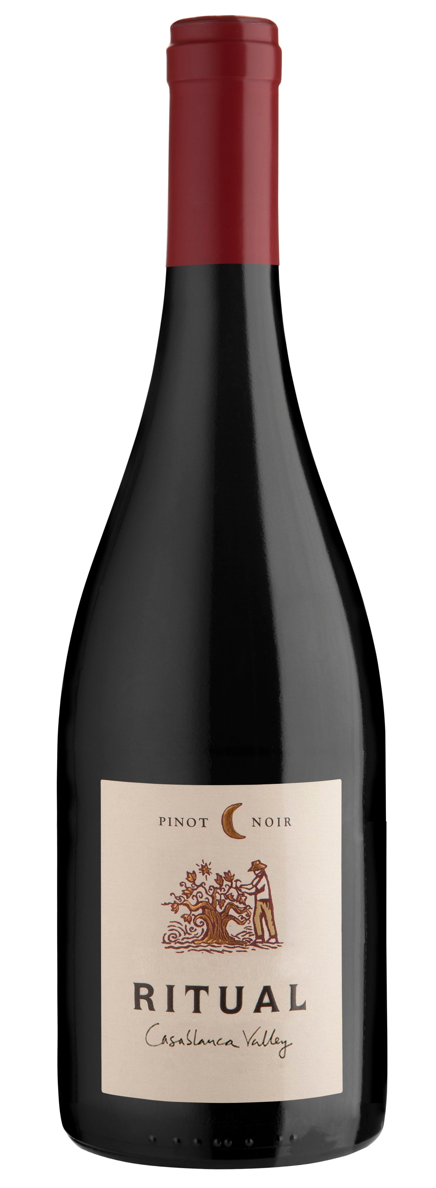 Ritual Pinot Noir 2017