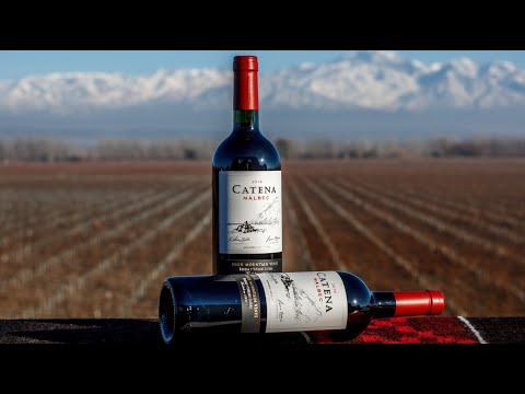 Bodega Catena Zapata Malbec High Mountain Vines 2022 – Wine