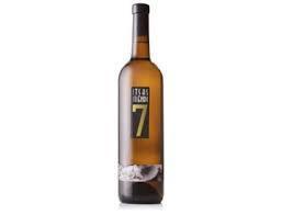 Itsas Mendi Bizkaiko Txakolina 2011-Wine Chateau
