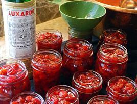 Luxardo Liqueur Maraschino-Wine Chateau