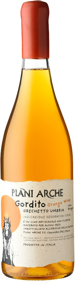 Plani Arche Grechetto 'Gordito Orange' 2021 *NEW* 2021