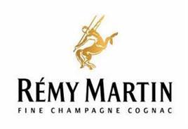 Remy Martin Cognac XO Excellence