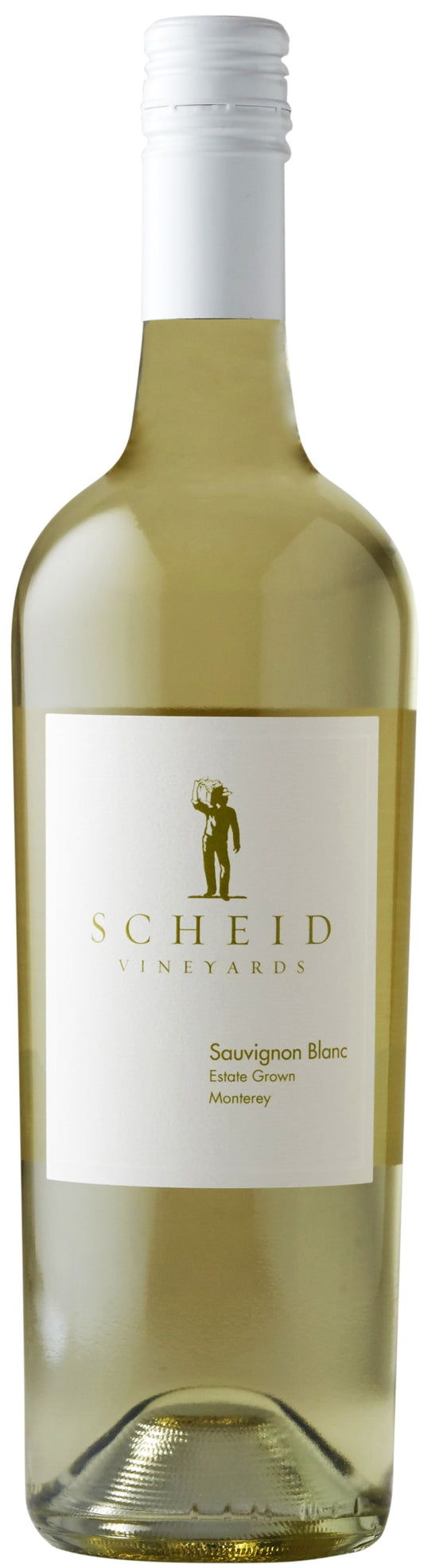 Scheid Vineyards Monterey Sauvignon Blanc