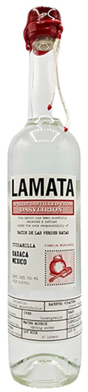 Sotol, 'D. serratifolium (Cucharilla) - Oaxaca', Lamata