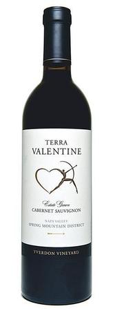 Terra Valentine Cabernet Sauvignon Spring Mountain District 2013-Wine Chateau